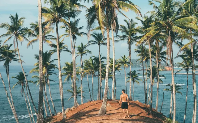 Vacation property remote security monitoring